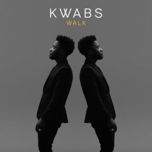 Walk (Todd Edwards Remix) - Single