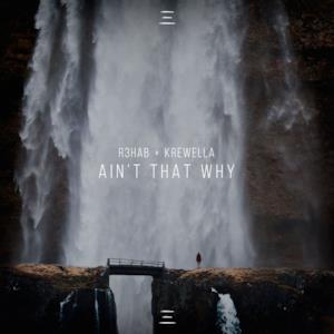 Ain't That Why - Single