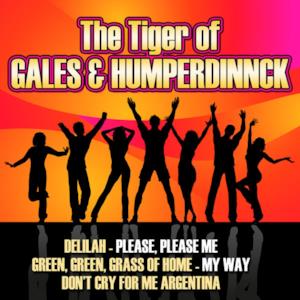 The Tiger of Gales & Humperdinnck