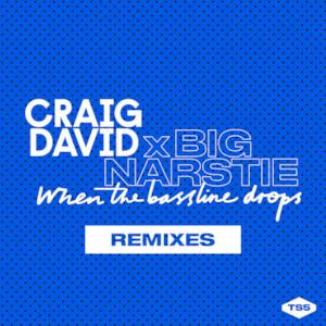 When the Bassline Drops (Remixes) - EP