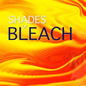 Shades of Bleach
