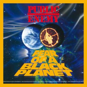 Fear of a Black Planet (Deluxe Edition)