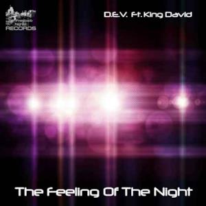 The Feeling of the Night - Single