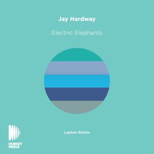 Electric Elephants (Layton Remix) - Single