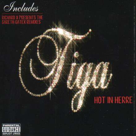 Hot in Herre - Single