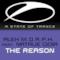 The Reason (feat. Natalie Gioia) - Single