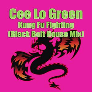 Kung Fu Fighting (Black Belt House Mix) - Single