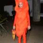 Katy Perry vestita da Cheetos