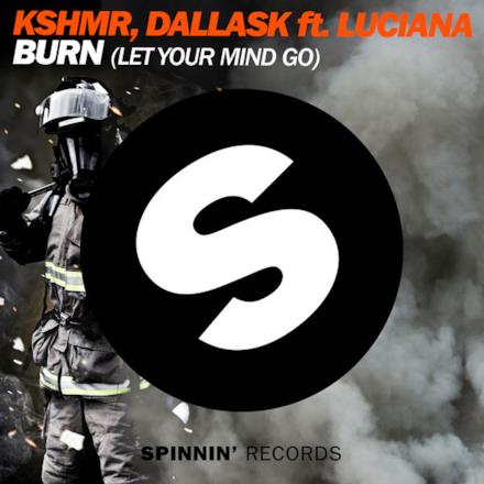 Burn (Let Your Mind Go) [feat. Luciana] - Single