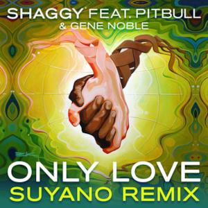 Only Love (feat. Pitbull & Gene Noble) [Suyano Remix] - Single