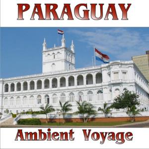 Ambient Voyage: Paraguay