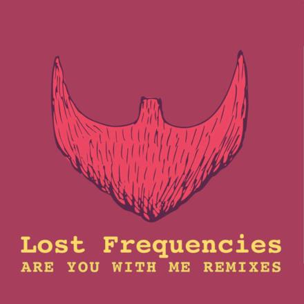 Are You with Me (Remixes)