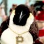 Pinguino Pino - Vodafone - 26