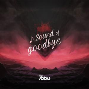 Sound of Goodbye - Single