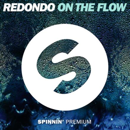 On the Flow (Extended Mix) - Single