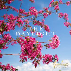 The Daylight - Single