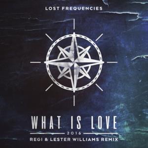 What Is Love 2016 (Regi & Lester Williams Remix) - Single