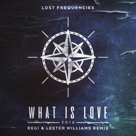 What Is Love 2016 (Regi & Lester Williams Remix) - Single