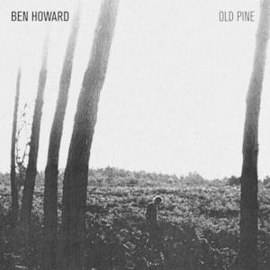 The Old Pine - EP