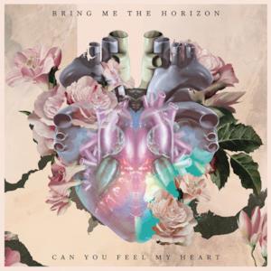 Can You Feel My Heart - Single