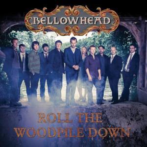 Roll the Woodpile Down - Single