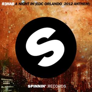 A Night In (Edc Orlando 2012 Anthem) - Single