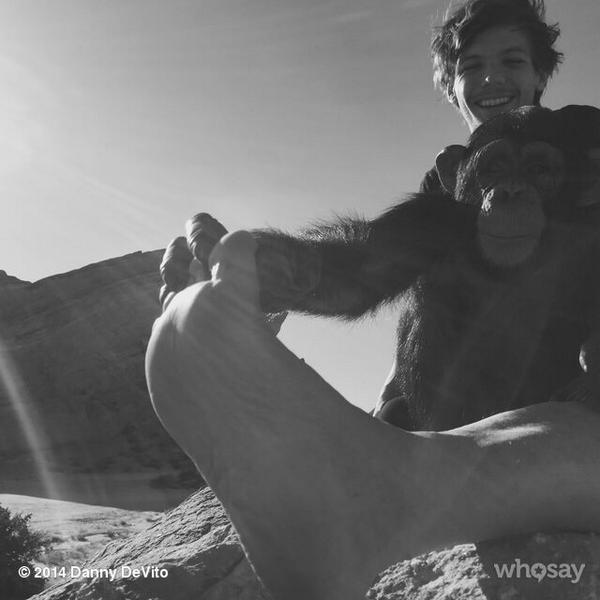 Louis Tomlinson con una scimmia in braccio