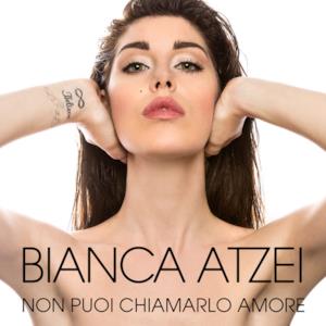 Non puoi chiamarlo amore - Single