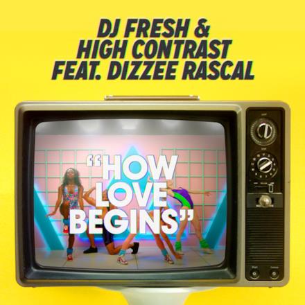 How Love Begins (feat. Dizzee Rascal) [Hardcore Will Never Die Edit] - Single