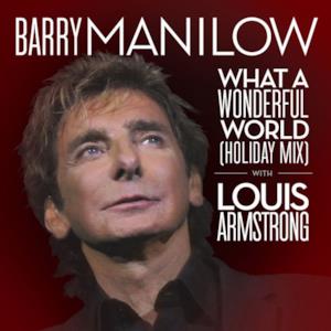 What a Wonderful World (Holiday Mix) - Single