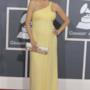 Grammy Awards 2011 - 3