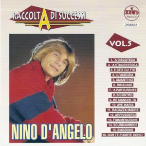Raccolta di successi, vol. 5 (The Best of Nino D'Angelo Collection)