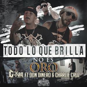 Todo Lo Que Brilla No Es Oro (feat. Don Dinero & Charlie Cruz) - Single