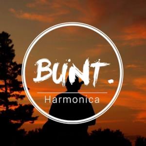 Harmonica - Single