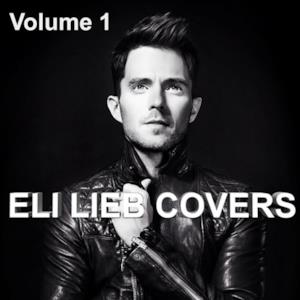 Eli Lieb Covers, Vol. 1