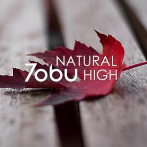Natural High - Single