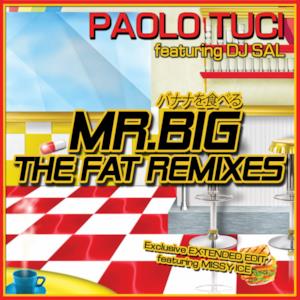 Mr. Big (The Fat Remixes) - EP