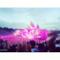 Tomorrowland 2015 le foto più belle