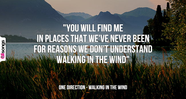 One Direction: le migliori frasi delle canzoni