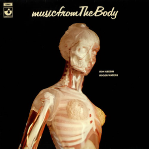 Music From the Body