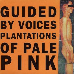 Plantations of Pale Pink - EP