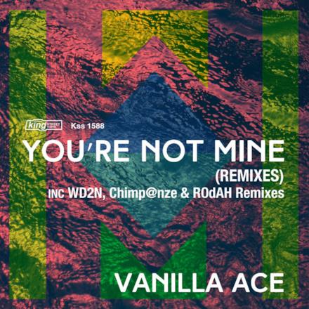 You're Not Mine (Remixes) - Single