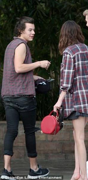 Il simpatico One Direction vestito con jeans e camicia a schacchi