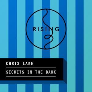 Secrets In the Dark - Single