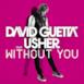 Without You (feat.Usher) [Style of Eye Remix] - Single