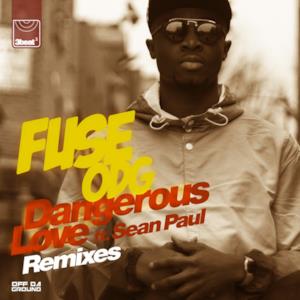Dangerous Love (feat. Sean Paul) [Remixes] - EP