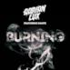 Burning (Remixes) [feat. Dante]