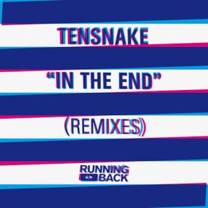 In the End (Remixes)