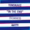 In the End (Remixes)