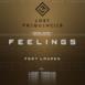 Feelings (Special Edition) [feat. Lauren]